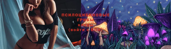 PSILOCYBIN Бронницы