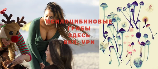 PSILOCYBIN Бронницы